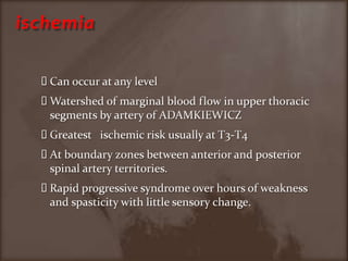 ischemiaCan occur at any levelWatershed of marginal blood flow in upper thoracic segments by artery of ADAMKIEWICZGreatest   ischemic risk usually at T3-T4At boundary zones between anterior and posterior spinal artery territories.Rapid progressive syndrome over hours of weakness and spasticity with little sensory change.
