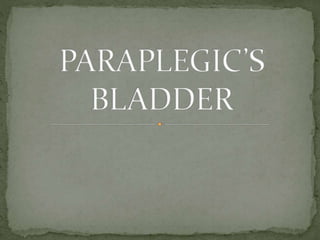 Paraplegic bladder