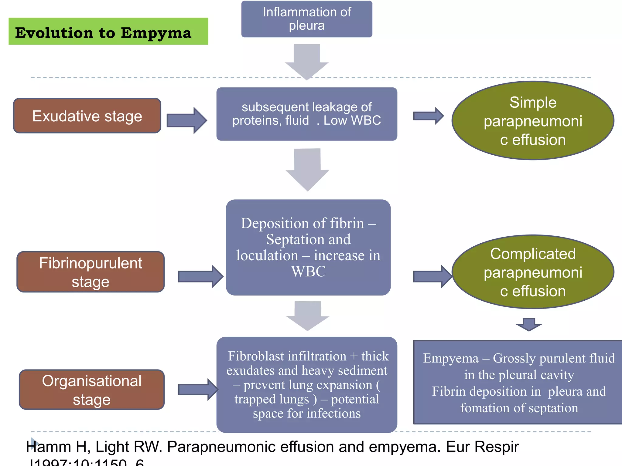 Evolution to Empyma
Inflammation of
pleura
subsequent leakage of
proteins, fluid . Low WBC
Deposition of fibrin –
Septation and
loculation – increase in
WBC
Fibroblast infiltration + thick
exudates and heavy sediment
– prevent lung expansion (
trapped lungs ) – potential
space for infections
Empyema – Grossly purulent fluid
in the pleural cavity
Fibrin deposition in pleura and
fomation of septation
Simple
parapneumoni
c effusion
Complicated
parapneumoni
c effusion
Exudative stage
Fibrinopurulent
stage
Organisational
stage
Hamm H, Light RW. Parapneumonic effusion and empyema. Eur Respir
 
