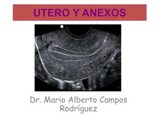 UTERO Y ANEXOS
Dr. Mario Alberto Campos
Rodríguez
 