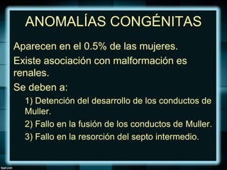 ANOMALÍAS CONGÉNITAS
Aparecen en el 0.5% de las mujeres.
Existe asociación con malformación es
renales.
Se deben a:
1) Detención del desarrollo de los conductos de
Muller.
2) Fallo en la fusión de los conductos de Muller.
3) Fallo en la resorción del septo intermedio.
 