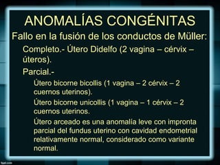 ANOMALÍAS CONGÉNITAS
Fallo en la fusión de los conductos de Müller:
Completo.- Útero Didelfo (2 vagina – cérvix –
úteros).
Parcial.-
Útero bicorne bicollis (1 vagina – 2 cérvix – 2
cuernos uterinos).
Útero bicorne unicollis (1 vagina – 1 cérvix – 2
cuernos uterinos.
Útero arceado es una anomalía leve con impronta
parcial del fundus uterino con cavidad endometrial
relativamente normal, considerado como variante
normal.
 