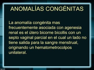 ANOMALÍAS CONGÉNITAS
La anomalía congénita mas
frecuentemente asociada con agenesia
renal es el útero bicorne bicollis con un
septo vaginal parcial en el cual un lado no
tiene salida para la sangre menstrual,
originando un hematometrocolpos
unilateral.
 