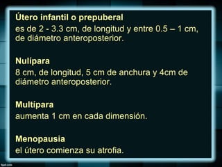 Útero infantil o prepuberal
es de 2 - 3.3 cm, de longitud y entre 0.5 – 1 cm,
de diámetro anteroposterior.
Nulípara
8 cm, de longitud, 5 cm de anchura y 4cm de
diámetro anteroposterior.
Multípara
aumenta 1 cm en cada dimensión.
Menopausia
el útero comienza su atrofia.
 