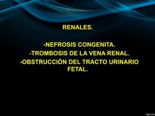RENALES.
-NEFROSIS CONGENITA.
-TROMBOSIS DE LA VENA RENAL.
-OBSTRUCCIÓN DEL TRACTO URINARIO
FETAL.
 