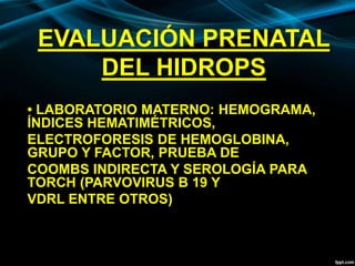 EVALUACIÓN PRENATAL
DEL HIDROPS
• LABORATORIO MATERNO: HEMOGRAMA,
ÍNDICES HEMATIMÉTRICOS,
ELECTROFORESIS DE HEMOGLOBINA,
GRUPO Y FACTOR, PRUEBA DE
COOMBS INDIRECTA Y SEROLOGÍA PARA
TORCH (PARVOVIRUS B 19 Y
VDRL ENTRE OTROS)
 