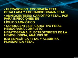 • ULTRASONIDO: ECOGRAFÍA FETAL
DETALLADA Y ECOCARDIOGRAMA FETAL
• AMNIOCENTESIS: CARIOTIPO FETAL, PCR
PARA INFECCIONES EN
LÍQUIDO AMNIÓTICO
• CORDOCENTESIS: CARIOTIPO FETAL,
HEMOGRAMA COMPLETO,
HEPATOGRAMA, ELECTROFORESIS DE LA
HEMOGLOBINA, ANÁLISIS DE
IGM ESPECÍFICA FETAL Y ALBÚMINA
PLASMÁTICA FETAL
 
