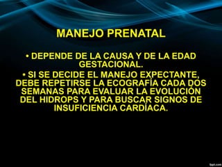 MANEJO PRENATAL
• DEPENDE DE LA CAUSA Y DE LA EDAD
GESTACIONAL.
• SI SE DECIDE EL MANEJO EXPECTANTE,
DEBE REPETIRSE LA ECOGRAFÍA CADA DOS
SEMANAS PARA EVALUAR LA EVOLUCIÓN
DEL HIDROPS Y PARA BUSCAR SIGNOS DE
INSUFICIENCIA CARDÍACA.
 