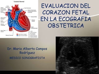 EVALUACION DEL
CORAZON FETAL
EN LA ECOGRAFIA
OBSTETRICA
Dr. Mario Alberto Campos
Rodríguez
MEDICO SONOGRAFISTA
 