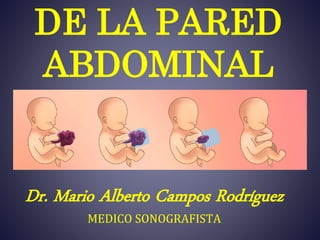 DE LA PARED
ABDOMINAL
FETAL
Dr. Mario Alberto Campos Rodríguez
MEDICO SONOGRAFISTA
 