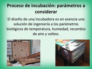 Proceso de incubación: parámetros a
considerar
El diseño de una incubadora es en esencia una
solución de ingeniería a los parámetros
biológicos de temperatura, humedad, recambio
de aire y volteo.
 