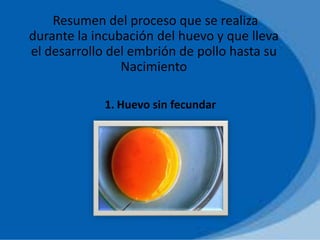Resumen del proceso que se realiza
durante la incubación del huevo y que lleva
el desarrollo del embrión de pollo hasta su
Nacimiento
1. Huevo sin fecundar
 