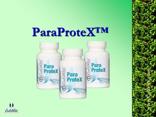 www.CaliVita.com
ParaProteX™
 