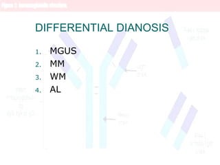 DIFFERENTIAL DIANOSIS
1. MGUS
2. MM
3. WM
4. AL
 