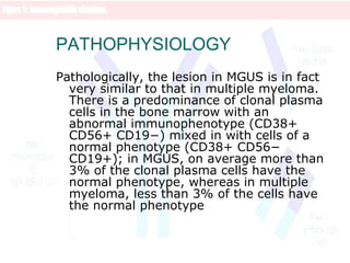 PATHOPHYSIOLOGY
Pathologically, the lesion in MGUS is in fact
very similar to that in multiple myeloma.
There is a predominance of clonal plasma
cells in the bone marrow with an
abnormal immunophenotype (CD38+
CD56+ CD19−) mixed in with cells of a
normal phenotype (CD38+ CD56−
CD19+); in MGUS, on average more than
3% of the clonal plasma cells have the
normal phenotype, whereas in multiple
myeloma, less than 3% of the cells have
the normal phenotype
 