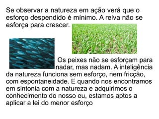 Se observar a natureza em ação verá que o
esforço despendido é mínimo. A relva não se
esforça para crescer.
Os peixes não se esforçam para
nadar, mas nadam. A inteligência
da natureza funciona sem esforço, nem fricção,
com espontaneidade. E quando nos encontramos
em sintonia com a natureza e adquirimos o
conhecimento do nosso eu, estamos aptos a
aplicar a lei do menor esforço
 