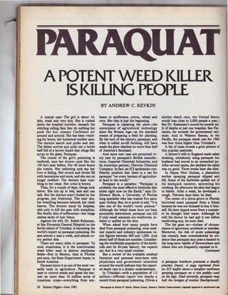 A POTENT WEED KILLER
ISKILLING PEOPLE
A typical case: The girl is about 16,
thin, weak and very sick. She is rushed
down the hospital corridor, beneath the
whirling ceiling fans that do nothing but
push the hot, steamy Caribbean air
around and around. She has been vomit-
ing for hours, her hysterical mother says.
The doctors search and probe and test.
The father arrives and pulls out a bottle
half full of a brown liquid that clings like
syrup to the glass. Paraquat.
The course of the girl's poisoning is
textbook, says her doctor-just like the
150 he's seen before. For 40 more hours
she vomits. Her yellowing eyes say her
liver is failing. Her mouth and throat fill
with lacerations and sores, and she can no
longer swallow. The doctors hear rum-
bling in her chest. Her urine is brown.
Then, for a couple of days, things look
better. She sits up in bed, eats and can
talk. But the doctors aren't fooled by her
progress, just frustrated. The next day,
her breathing becomes labored, her chest
heaves. The doctors stand by helpless,
able only to kill the pain with morphine.
She finally dies of suffocation-her lungs
useless sacks of scar tissue.
Against his will, Dr. Rabid Rahaman,
at San Fernando General Hospital on the
fertile island of Trinidad, is becoming the
world's expert on paraquat poisoning. He
sees almost a case a week, and almost ev-
ery patient dies.
There are many sides to paraquat. To
most Americans, it is the controversial
weed killer used to destroy marijuana
fields-first in Mexico, then in Florida
and soon, the State Department hopes, in
South America.
Farmers know it as one ofthe most ver-
satile tools in agriculture. Paraquat is
used to control weeds and speed the har-
vest on more than 10 million acres of
American crops-everything from soy-
36 Science Digest-June 1983
BY ANDREW C. REVKIN
beans to sunflowers, cotton, wheat and
com. But that is just the beginning.
Paraquat is replacing the plow-the
centerpiece of agricultural technology
since the Bronze Age-as the standard
means of preparing a field for planting.
By the tum of the century, paraquat, and
what is called no-till farming, will have
made the plow obsolete on more than half
of America's farmland.
And more new uses are promoted ev-
ery year by paraquat's British manufac-
turer, Imperial Chemical Industries, and
its American partner, Chevron Chemical
Company. In fact, an ICI spokesman con-
fidently predicts that there is a use for
paraquat "on every hectare of agricultur-
al land in the world."
Paraquat is a paradox: "Paraquat is
probably the most effective herbicide that
exists right now on the Earth," says Dr.
Edward Block, a University of Florida
lung specialist who has treated five para-
quat victims. But, he is quick to add, "it is
also one of the world's worst poisons."
Although the lethal doses have not been
accurately determined, paraquat can kill
if only small amounts are swallowed, in-
haled or spilled on the skin.
When asked how many people have
died from paraquat poisoning, most med-
ical experts and industry spokesmen re-
cite figures between 600 and 1,000. And
about halfofthose are suicides. Consider-
ing the worldwide popularity ofthe herbi-
cide and its 20-year history, the experts
say that is a very small number.
But a review of the available medical
literature and personal interviews with
physicians and government scientists
around the world indicate that the report-
ed death rate is a drastic underestimate.
In Trinidad-with a population of 1.2
million--officials report two deaths a
month from paraquat poisoning. (Given a
similar death rate, the United States
would lose close to 5,000 people a year.)
But Dr. Rahaman's month-by-month tal-
ly of deaths at just one hospital, San Fer-
nando, far exceeds the government esti-
mate. And in Western Samoa, in the
Pacific, the paraquat death rate for 1980
was four times higher than Trinidad's.
A list of cases reveals a grim picture of
this popular pesticide:
A farmer's wife in England made salad
dressing, mistakenly using paraquat her
husband had stored in an unmarked jar.
After several tastes, she decided the salad
was no good. Three weeks later she died.
In Papua New Guinea, a plantation
worker spraying paraquat slipped and
fell. Some of the herbicide spilled out of
his backpack canister, saturating his
clothing. By afternoon his skin had begun
to blister. After a week, he developed a
cough. Thirteen days later, he died.
The owner of a citrus grove in Florida
borrowed some paraquat from a friend
because he was not licensed to buy it him-
self. He later sipped some from a contain-
er he thought held water. Although he
told his doctor he had spit it out before
swallowing any, he soon died.
The list goes on-victims of circum-
stance or ignorance, accidents or suicides.
Moreover, the risk of acute poisonings
has recently been overshadowed by evi-
dence that paraquat may pose a hazard to
the long-term health of farmworkers and
others who are frequently exposed to it.
Continued
A paraquat brochure promotes a d~dly
practice (inset). A page reprinted from
an ICI /~flet shows a barefoot workman
spraying paraquat on a rice paddy--and
on his legs. Used correctly, paraquat may
halt the ravages of erosion (background).
PholocraJ>h by Martin W. Burch, Clinton County. Missouri. District Conservationist; oriJinally appearal ia lflrldmtlttll Ap
 