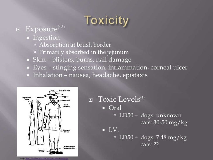 Paraquat Toxicity
