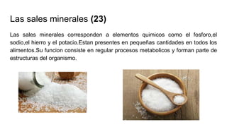 Las sales minerales (23)
Las sales minerales corresponden a elementos quimicos como el fosforo,el
sodio,el hierro y el potacio.Estan presentes en pequeñas cantidades en todos los
alimentos.Su funcion consiste en regular procesos metabolicos y forman parte de
estructuras del organismo.
 