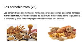Los carbohidratos (23)
Los carbohidratos son nutrientes formados por unidades más pequeñas llamadas
monosacáridos.Hay carbohidratos de estructura más sencilla como la glucosa y
la sacarosa y otros más complejos como la celulosa y el almidón.
 