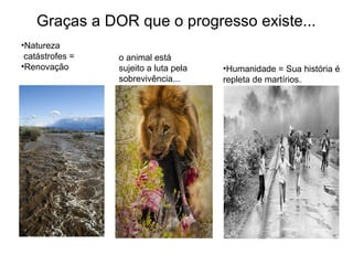 Graças a DOR que o progresso existe...
•Natureza
catástrofes =
•Renovação
o animal está
sujeito a luta pela
sobrevivência...
•Humanidade = Sua história é
repleta de martírios.
 