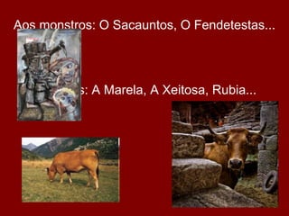 Aos monstros: O Sacauntos, O Fendetestas...




   Ás vacas: A Marela, A Xeitosa, Rubia...
 