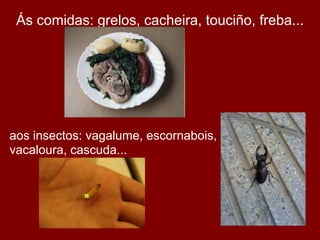 Ás comidas: grelos, cacheira, touciño, freba...




aos insectos: vagalume, escornabois,
vacaloura, cascuda...
 