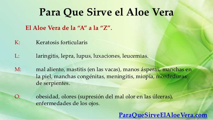 Para que sirve el aloe vera Para que sirve el aloe vera