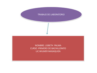 TRABAJO DE LABORATORIO

NOMBRE: LISBETH PALMA
CURSO :PRIMERO DE BACHILLERATO
LIC:WILMER MASAQUIZA

 