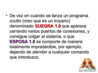 De vez en cuando se lanza un programa oculto (creo que es un troyano) denominado  SUEGRA 1.0  que aparece cerrando varios puertos de conexiones, y consigue colgar el sistema, o que  ESPOSA 1.0  se comporte de manera totalmente impredecible, por ejemplo,  dejando de atender a cualquier comando que introduzco. 