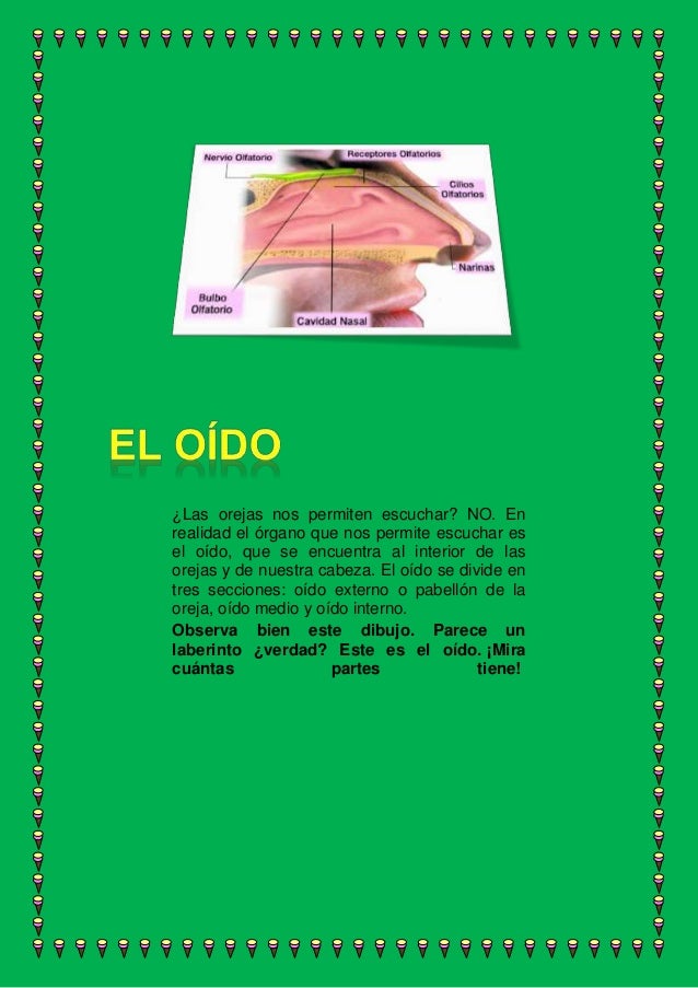Para qué sirven los 5 sentidos