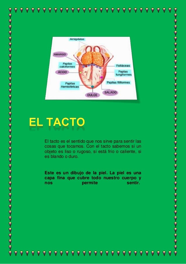 Para qué sirven los 5 sentidos