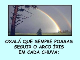 OXALÁ QUE SEMPRE POSSAS  SEGUIR O ARCO ÍRIS  EM CADA CHUVA;  