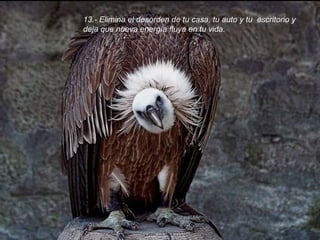 13.- Elimina el desorden de tu casa, tu auto y tu  escritorio y deja que nueva energía fluya en tu vida. 