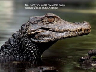 16.- Desayuna como rey, come como príncipe y cena como mendigo. 