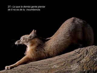 27.- Lo que la demás gente piense de ti no es de tu  incumbencia. 