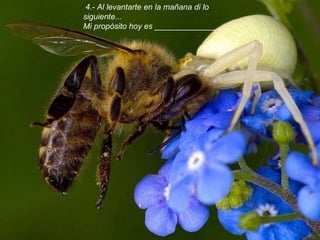   4.- Al levantarte en la mañana di lo siguiente... Mi propósito hoy es ______________.   