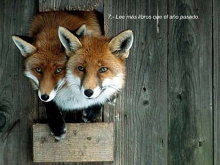 7.- Lee más libros que el año pasado.  