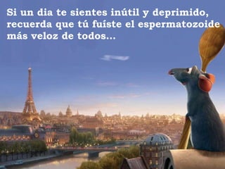 Si un dia te sientes inútil y deprimido, recuerda que tú fuíste el espermatozoide más veloz de todos… 