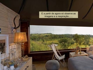 E a partir de agora só observe as imagens e a respiração...... 