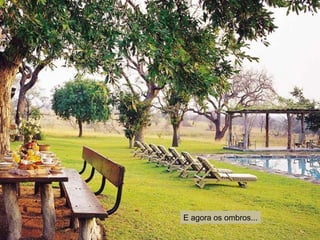 E agora os ombros... 