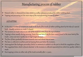 Para rubber | PPTX
