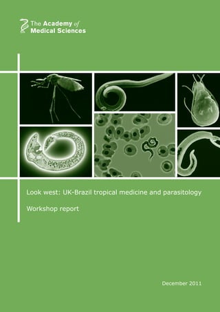 1
December 2011
Look west: UK-Brazil tropical medicine and parasitology
Workshop report
 
