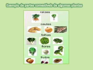 Para saber   plantas