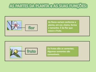 As flores variam conforme a
planta, em cor, cheiro, forma
e tamanho. É da flor que
nasce o fruto.




Os frutos dão as sementes.
Algumas sementes são
comestíveis.
 