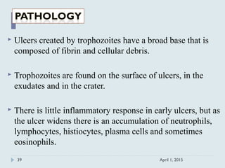  Ulcers created by trophozoites have a broad base that is
composed of fibrin and cellular debris.
 Trophozoites are found on the surface of ulcers, in the
exudates and in the crater.
 There is little inflammatory response in early ulcers, but as
the ulcer widens there is an accumulation of neutrophils,
lymphocytes, histiocytes, plasma cells and sometimes
eosinophils.
April 1, 201539
 