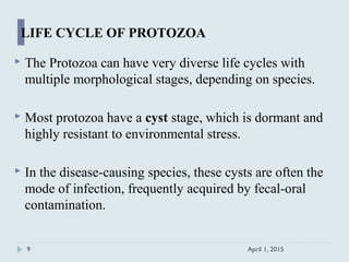  The Protozoa can have very diverse life cycles with
multiple morphological stages, depending on species.
 Most protozoa have a cyst stage, which is dormant and
highly resistant to environmental stress.
 In the disease-causing species, these cysts are often the
mode of infection, frequently acquired by fecal-oral
contamination.
April 1, 20159
LIFE CYCLE OF PROTOZOA
 