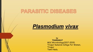 Plasmodium vivax
by
THARANI.P ,
MSC Microbiology(2017-2019)
Tirupur Kumaran College For Women,
Tirupur
Tamil Nadu.
 