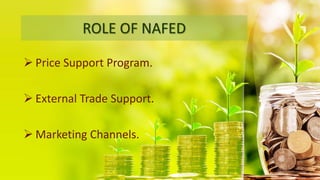 ROLE OF NAFED
 Price Support Program.
 External Trade Support.
 Marketing Channels.
 
