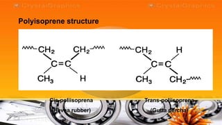 Polyisoprene structure




        Cis-poliisoprena   Trans-poliisoprena
         (Hevea rubber)      (Gutta percha)
 